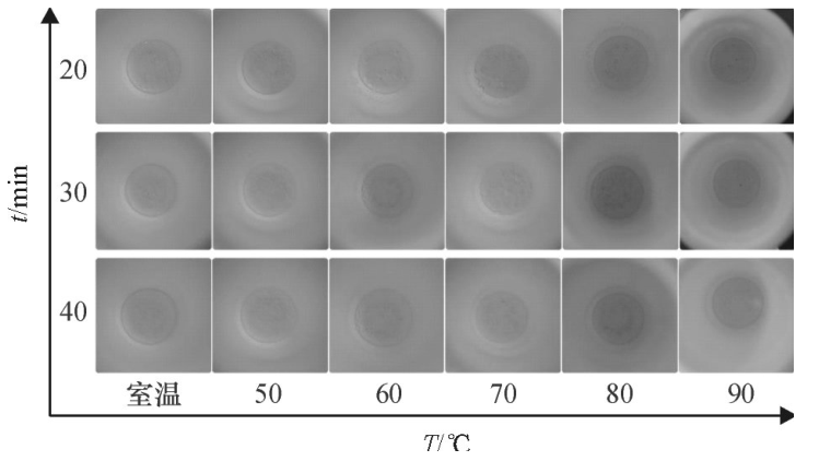 圖6不同密閉消解時(shí)間、不同水浴溫度的消解效果