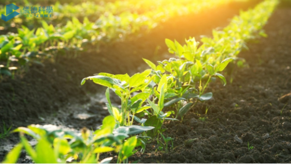 手持式RoHS測試儀在土壤重金屬污染及修復(fù)的檢測應(yīng)用